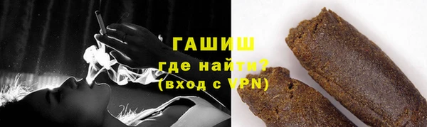 гашик Алексин