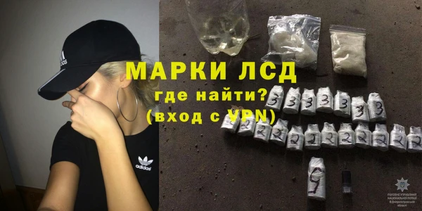 гашик Алексин