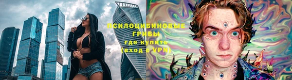 гашик Алексин