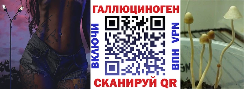 Псилоцибиновые грибы Psilocybine cubensis omg как войти Тетюши